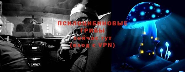 стафф Алексеевка