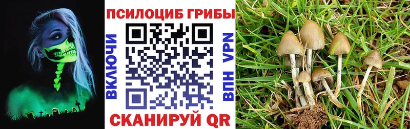 mega вход  Перевоз  Галлюциногенные грибы прущие грибы 